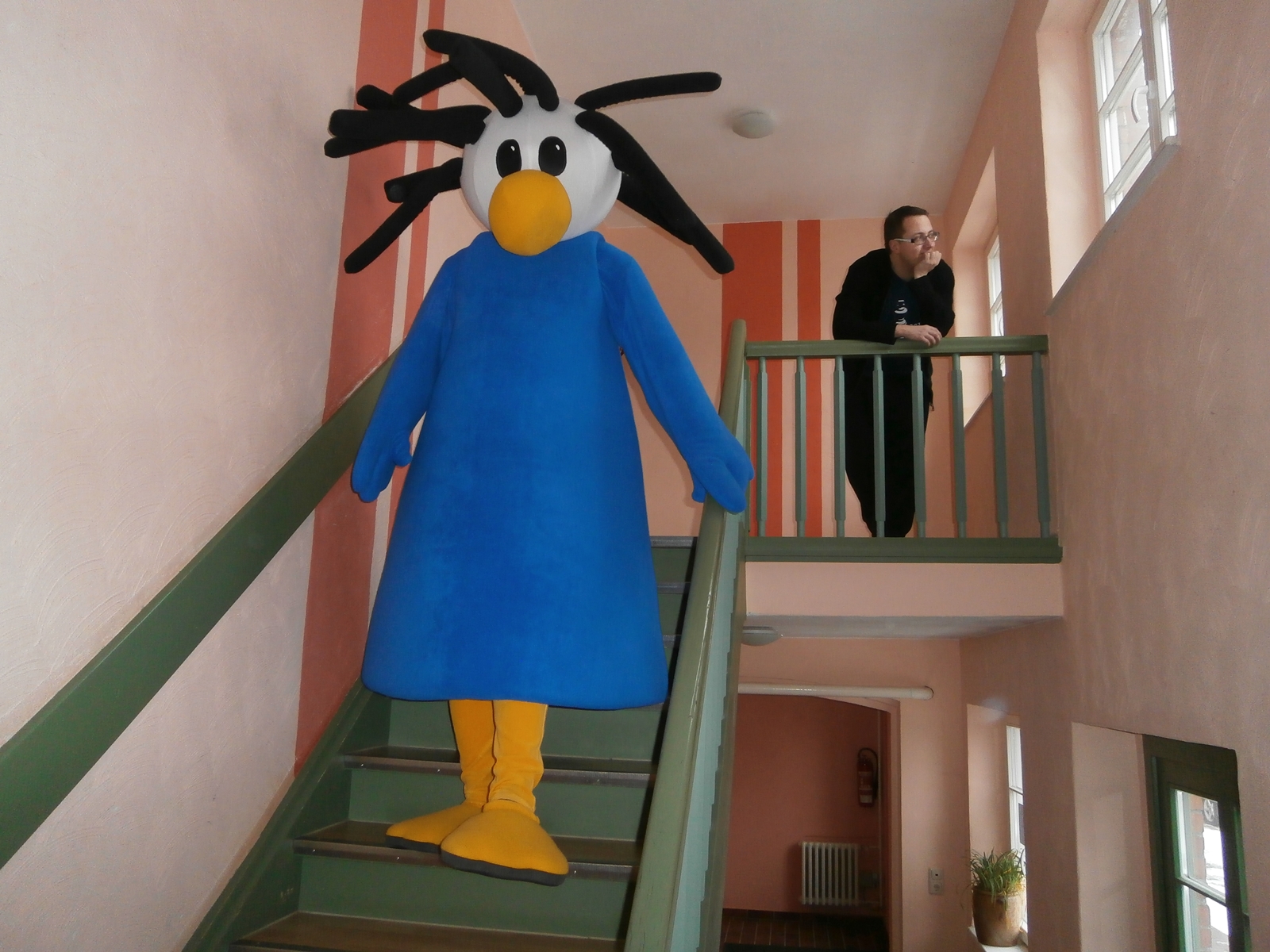 Vorschau
